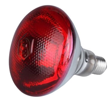 Lampe Thermique Infrarouge 250 W - Verre Quartz Épais (Anti-Explosion), Douille Standard, Fil de Tungstène, Lumière Rouge Douce, Idéale pour le Chauffage de Porcelet/poulet/canard/oiseaux