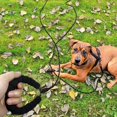 thumbnail image 2 of Dog Training Lead, Long Line: Customizable for Various Activities, Reflective Material for Increased Safety, Comfortable Padded Handle, Durable for Frequent Use, 2 of 2