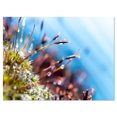 thumbnail image 1 of Design Art Mousse Fleurs Printemps Été Art Sur Toile, 1 of 3