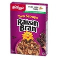 thumbnail image 4 of Kellogg’s Two Scoops® Raisin Bran Original 375g, 4 of 4