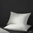 thumbnail image 1 of Highland Feather 700 Fill Power European White Down Pillow 500TC Pure Cotton Casing MONTPELLIER Soft and Comfy Support, Soft, Standard Size, 14 oz, Two Pillows, 1 of 8