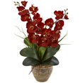 thumbnail image 2 of Nearly Natural 1514-AT Arrangement Saisonnier d'Orchidée Double Phalaenopsis, Automne, 2 of 3