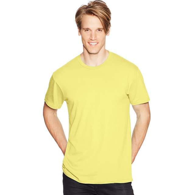 Hanes 4.5 oz. 100% Ringspun Cotton nano-T T-Shirt