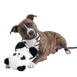 One Paw, Panda Tug Jouet pour chien, peluche