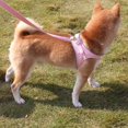 thumbnail image 3 of Harnais pour Chien Anti-Traction, Gilet Réfléchissant pour Chiens, Sangle de Poitrine, Harnais Respirant et Ajustable pour Animal de Compagnie, Chiot, Marche Extérieure, 3 of 5