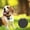 Noir, variante sur Dvkptbk Dispositifs de Suivi Portables Suivi GPS Bluetooth 5.0 Suivi de Clés Mobile Dispositif Intelligent Anti-Perte Dispositif Étanche Outil Localisateur GPS pour Animaux Traceur Bluetooth pour Clés d'Animaux Portefeuille Sac en Liquidation