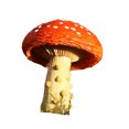 thumbnail image 1 of fastboy Décorations de Paysage en Forme de Champignon Simulé pour Jardin Résine Durable et Longue Durée orange, 1 of 6