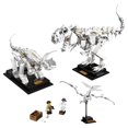 thumbnail image 3 of LEGO Ideas 21320 Dinosaur Fossils Building Kit (910 Pieces), 3 of 6