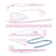 thumbnail image 2 of French Curve Ruler Curve Rulers Tailors Ruler Sewing Tools for Pattern Maker 9pcs, 2 of 8
