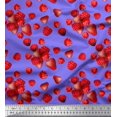 thumbnail image 1 of Soimoi Silk Fabric Raspberry,Strawberry & Cherry Fruits Print Fabric by Yard 42 Inch Wide, 1 of 3