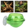 thumbnail image 2 of Transparent Elevated Reptile Feeding Dish With Suction Cup For Gecko Escape Proof Live Terrarium Feeder, 2 of 4
