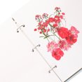 thumbnail image 3 of Flower Press Book Dried Flower Storage Album Pressed Flower Specimen Album Loose Leaf Album, 3 of 8
