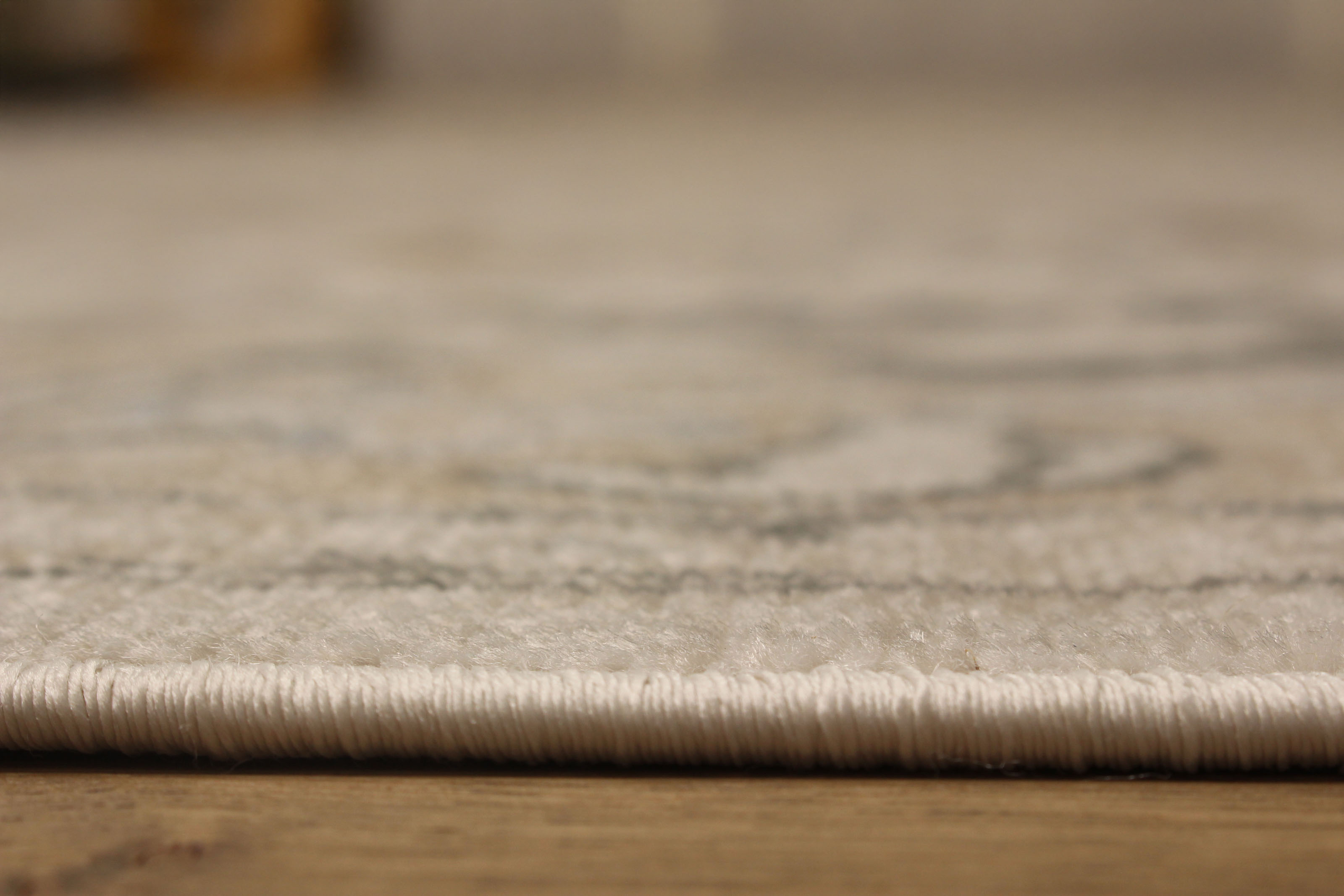 ECARPET Addie Traditional Area Rug for Living Room, Bedroom, Dining Entrance, Hallway and More.