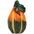 thumbnail image 3 of Northlight Mini Citrouilles et Gourdes en Céramique Décorations de Récolte d'Automne - 3,5 Pouces - Ensemble de 6, 3 of 6