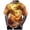 Yellow, variant on LUOGENLI Male T-shirts for Mens Male T Shirt Summer Short Sleeve T Shirt Top Animal Themed Shirt Graphic Shirt Tops Vintage T-shirts for Men Graphic Tee Summer Clothes Gold XL