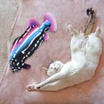 thumbnail image 2 of "Ultimate Cat Entertainment: Cat With Lifelike Movements To Stimulate Play And Curiosity – A Must For Every Cat Owner", 2 of 5