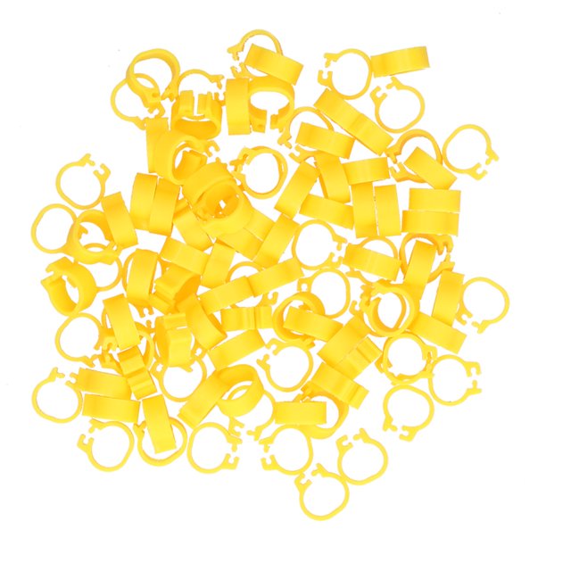 100PCS 8mm Pigeons Leg Rings Easy Identify Reusable Lightweight Durable Poultry Supplies