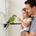 thumbnail image 4 of Creatine Natural Wooden Bird Stand For Parrots And Birds With Multiple Activity Stations And Chew(3 Styles Size), 4 of 4