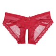 thumbnail image 3 of WILLBEST Womens Cotton Underwear Plus Size Hi Cut and Alluring Transparent Lace Embroidered Open Back Briefs for Wear Breathable Unbeatable Softness Sensational, 3 of 3