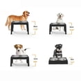 thumbnail image 3 of Bols Surélevés pour Chien Bols Surélevés pour Chien Bols Doubles en Acier Inoxydable Grande Capacité Bol Surélevé Réglable pour Animal avec 4 Modes de Hauteur, 3 of 5