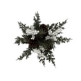 thumbnail image 5 of Holiday Time Wow 10in Green Pinecone Potted Tree, 5 of 5