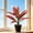 B, variant on Red Holly Artificial potted plants for indoor use suitable for decorating living rooms offices bedrooms and other home environments