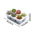 thumbnail image 3 of Wzzjkit Nursery Fleshiness Pots Reusable Planting Trays Suitable for Flowers Vegetables, 3 of 5