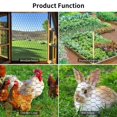 thumbnail image 4 of Chicken Wire 13.7 in x 236 in Poultry Wire Netting Hexagonal Galvanized Mesh Garden Fence Barrier for Pet Rabbit Chicken Fencing (, 4 of 7