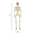 thumbnail image 2 of Squelette d’Halloween articulé de 36 po (91,44 cm), 2 of 7