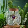 thumbnail image 4 of HLONK Desktop Fish Bowl Hydroponic Terrarium Glass Small Fish Tank with Bamboo Cushion, 4 of 6