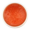 thumbnail image 5 of Layrite Original Pomade, 4.2 Ounce (Pack of 1), 5 of 5