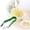 Green, variant on Product Category Food Clips - Multifunctional Pineapple Eye Remover and Stainless Steel Pineapple Corer Slicer and Strawberry Cutter Tool for Kitchen