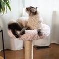 thumbnail image 2 of The Blush Perch – 1-Level Cat Tree with Pink Faux Fur, 2 of 2