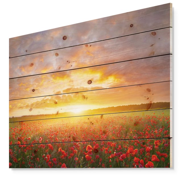Design Art - Champ de Pavots sous Coucher de Soleil Lumineux