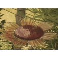 thumbnail image 1 of Ahgly Tapis Rectangulaire Lavable en Machine Intérieur Caramel Brun, 2 Pieds x 5 Pieds, 1 of 7