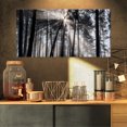 thumbnail image 1 of Design Art - Rayons de Soleil à Travers une Forêt Noir et Blanc, 1 of 3