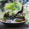 thumbnail image 4 of BEADCEST 36pcs Artificial Palm Tree Indoor Plastic Microlandscape Figurine for Friends Family, 4 of 6