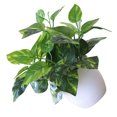 thumbnail image 3 of fastboy Artificial Potted Plant Leaf Simulation Leaves Home Office Desktop Greenery Decoration, Plant Type 13, 3 of 4