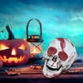 thumbnail image 4 of Yhmxh Halloween Decorations,Party Favors,Halloween Skeletons Plastic Realistic Fake Simulation Human Skull HeadBone Model Halloween Prop Realistic Mini Skeleton Spooky Halloween Decoration, 4 of 5