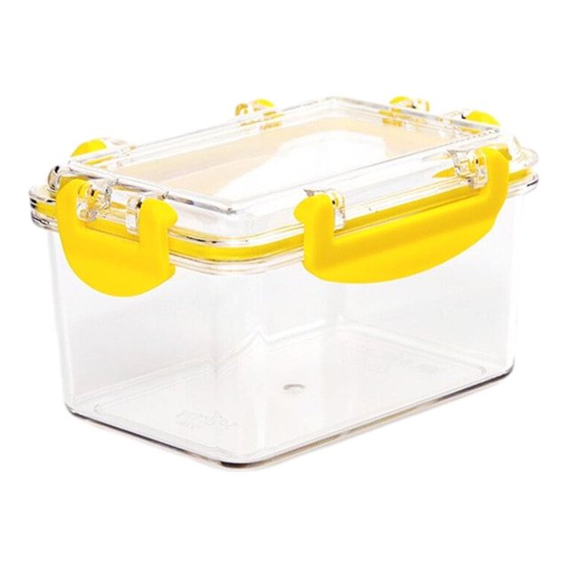 facefd Boîte de Rangement Transparente Mini pour Filles, INS Scellée, Boîte de Conservation pour Salade, Collations et Fruits, Rangement et Organisation de Bureau