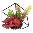 thumbnail image 3 of Northlight 5.5" Artificial Succulent Arrangement in Black Metal Wire Frame, 3 of 5