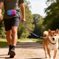 thumbnail image 4 of TIELUTT Adjustable Hands Waist Leash Running Cycling and Training with Favorite Waist Belt Leash Reflective Running Leash for 2 Dogs Dogs Leashes for Puppies Service Dog Leash Umbrella Dog Leash Walk, 4 of 4
