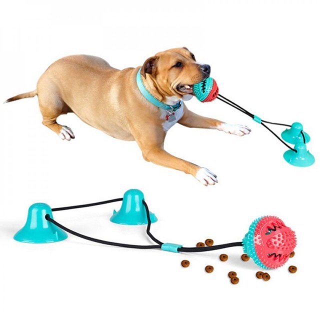 Pet Double Ventouse Dentelée Molaire Boule Jouet Multifonction Interactif Animal Agressif Corde à Mâcher