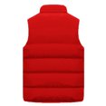 thumbnail image 3 of LUXUR Manteau à Fermeture Éclair pour Hommes Coupe Régulière Gilet de Voyage Rouge 4TG, 3 of 3
