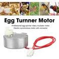 thumbnail image 4 of Egg Turner Motor 4W High Performance  Incubator Motor for Egg Turning, 4 of 7