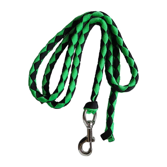 fastboy Corde pour Cheval Cordons pour Cheval Rêne Corde à Pression Cordon de Conduite avec Pince Cheval Vert 2,5 Mètres