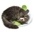 thumbnail image 3 of Station de bien-être Senses Catit 2.0, 3 of 5