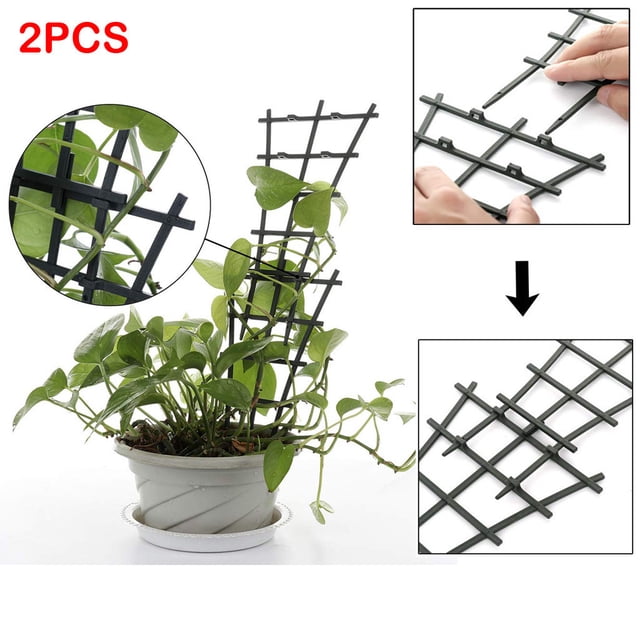 EGNMCR Hooks for Hanging Plant Vines Climbing-Garden Plastic Mini Potted Support HOT Rooting device