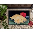 thumbnail image 3 of Carolines Treasures SS8576JMAT Golden Retriever Paillasson - 24 x 36 Po., 3 of 4