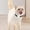 B, variant on Fokuz Stay Connected With Your Furry Advanced Pet Locator Device Real Tracking & Alerts For Peace Of Mind